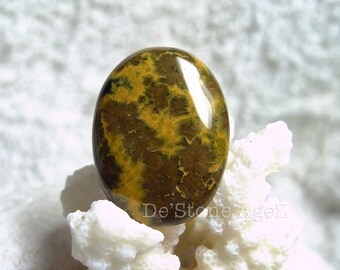 Brown Jasper - 27.74 Carats (Lovely Pattern!)