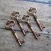 Terena Antique Copper Skeleton Key - Set of 4