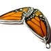 Insect Jewelry Recycled Monarch Butterfly Necklace
