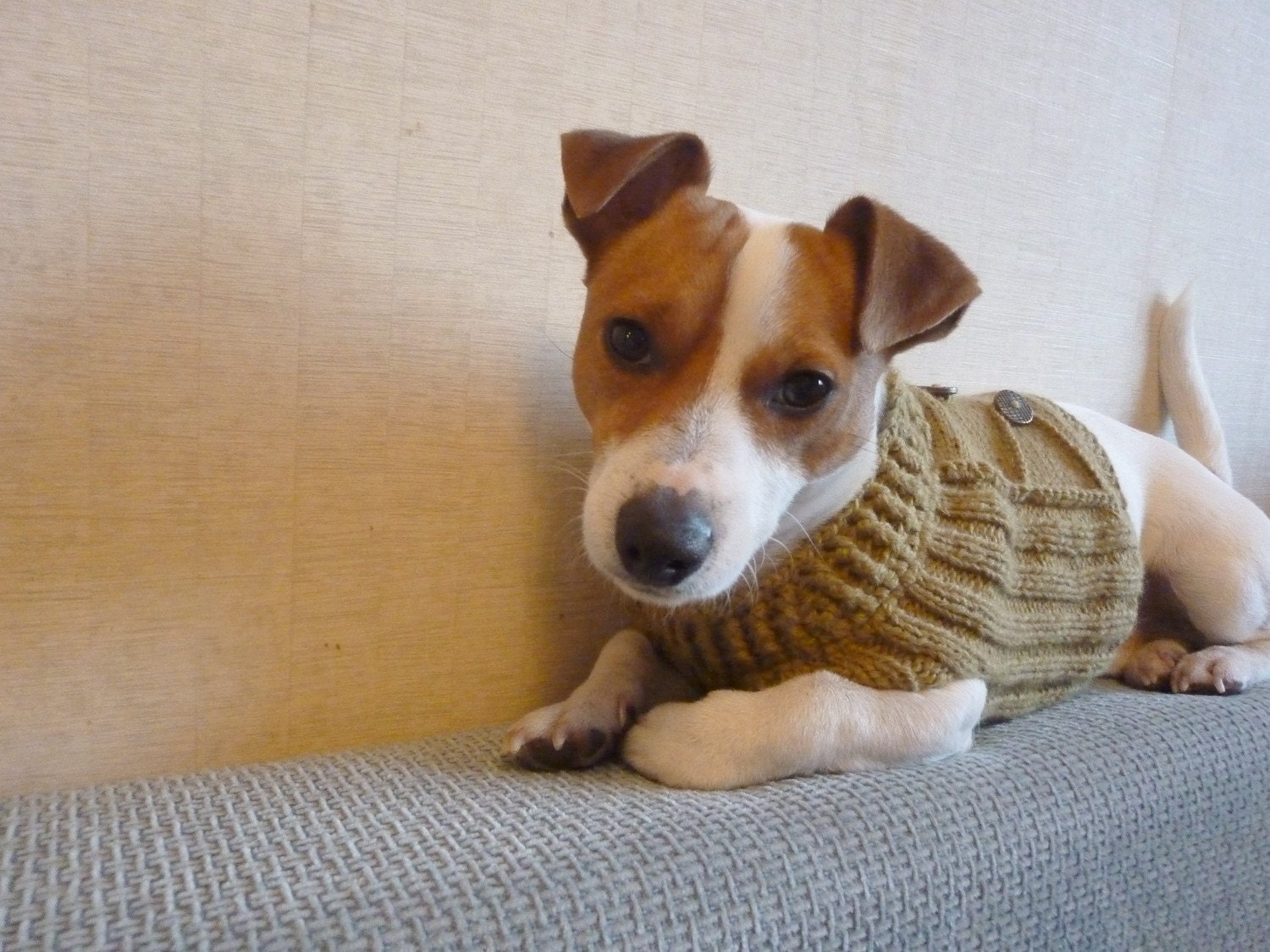 knitting with dog hair pdf
