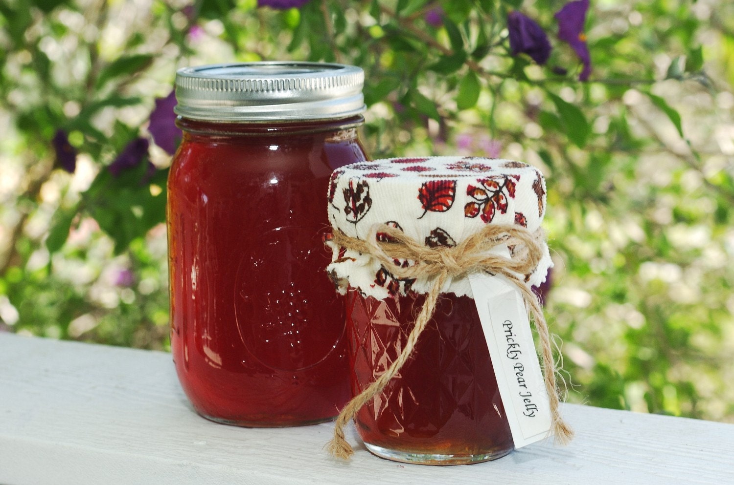 Organic Prickly Pear Jelly