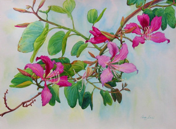 Flower Painting Hong Kong Orchid Painting Botanical