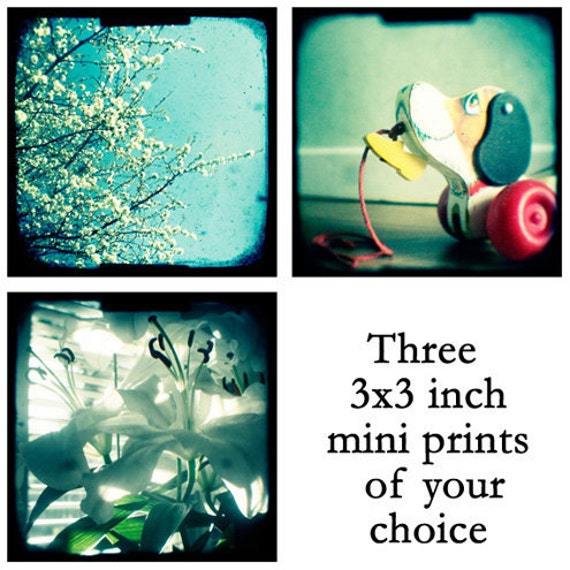 Items similar to Three 3x3 inch signed mini photograph prints of your