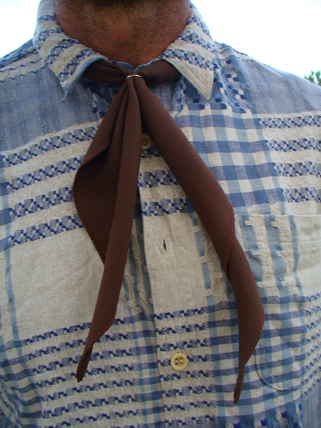 Vintage 70s80s Brown Western Neckwear Tie Ray Smoot