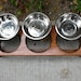 Elevated Pet Feeder -Stained English Chestnut Stain with 3 Two Quart Paw Print Bowls