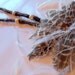 Custom Feather and Dreadlock Clip in Hair Barrette Extensions Dark Brown Dreads with Wooden Beads