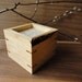 Lamp made of Hickory and Japanese Paper LED Accent Light