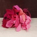 Recycled Cashmere Remnants -Mixed Pink 4 oz