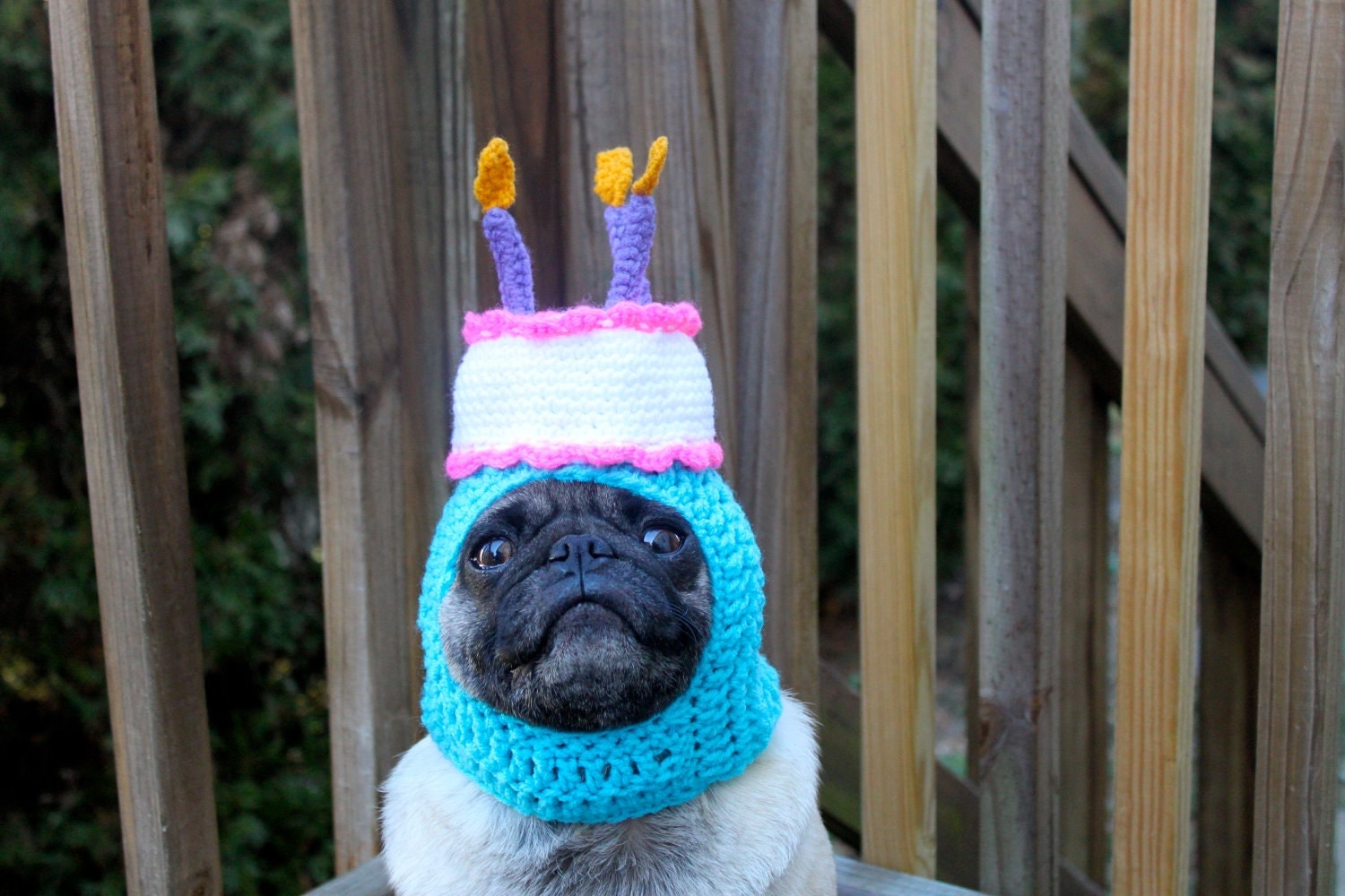 Happy Happy Birthday Cake Dog Hat / Made To Order by Sweethoots