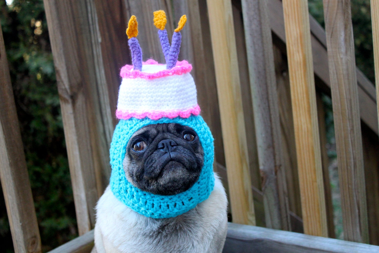 Happy Happy Birthday Cake Dog Hat / Made To Order by Sweethoots