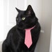 Cat Tie - Soda Shoppe