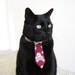 Cat Tie - Bad to the Bone