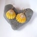 RESERVED Hawaiian Sunrise Shell Earrings, Rare, Hawaiian Shell Jewelry, Gold Wire Wrapped