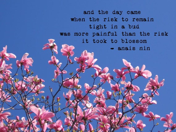 Items similar to Magnolia Photograph with Anais Nin Quote on Etsy
