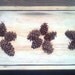 Mini Pinecones