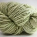 Thick and Thin Yarn Slub TTS(tm) Handdyed Fine Merino 66tts12006 Fern Green