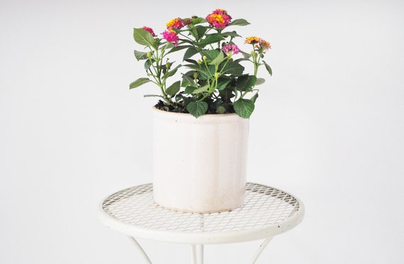 Mid-Century Plant Stand - Off White