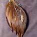 Chicken Feathers- Lot- up to 5 inches or 12.7 centimeters- Rich Brown- 37