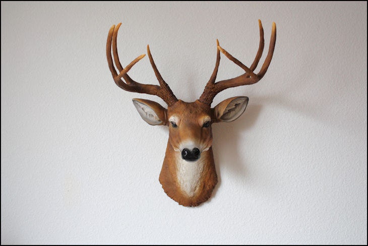 Fake Deer Head Mount Living Room