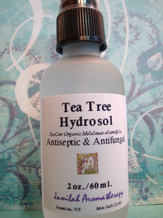 Organic Tea Tree Hydrosol Fragrant Distillate Supports Skin organic tea tree hydrosol fragrant distillate supports skin