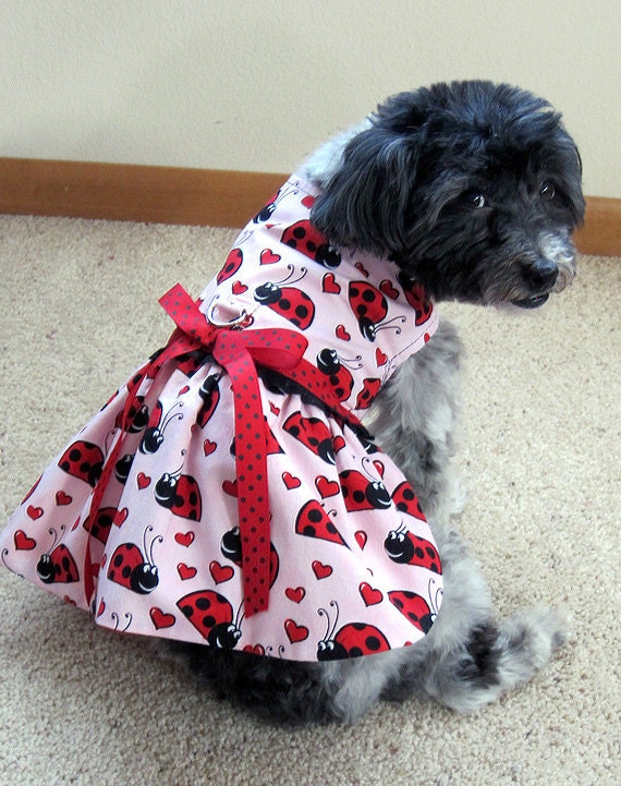 CLEARANCE DOG CLOTHES Dog Harness Dress