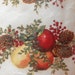 Hard To Find Herrschners BOXWOOD and PINE Terry Towels Knitted & Crocheted Hanging Towelettes Kit