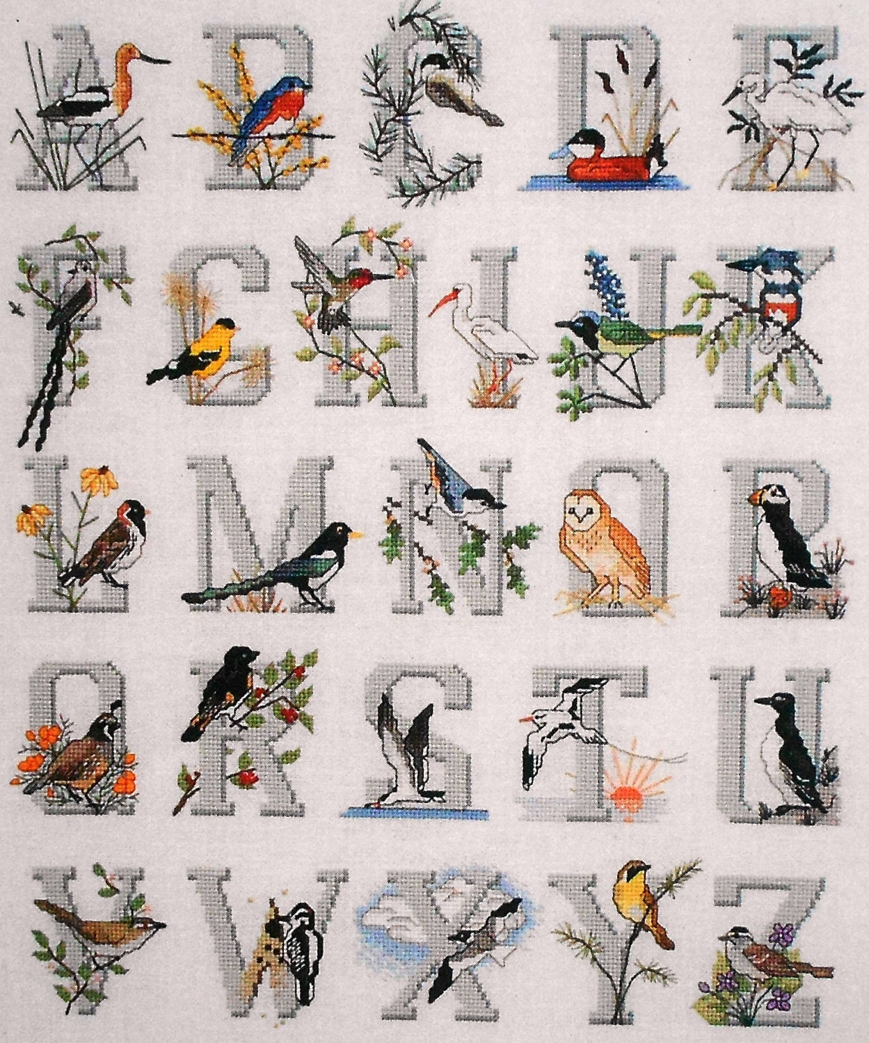 Bird Alphabet