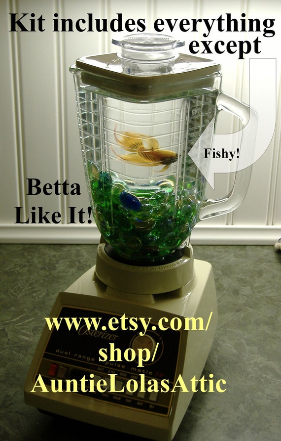 Items similar to Osterizer Blender Fish Friendly Repurposed Fish Bowl