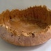 Western Big Leaf Maple Burl Bowl