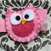 Pink Funny Owl Hair Clippie