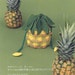 Crochet Pineapple Pouch Candy PDF Japanese diagram pattern