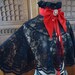 Victorian Steampunk Gothic black lace ruffled capelet with red suede leather bow choker collar