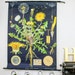 Botanical chart Dandelion Genuine vintage school pull down map Paper on linen, Jung Koch Quentell