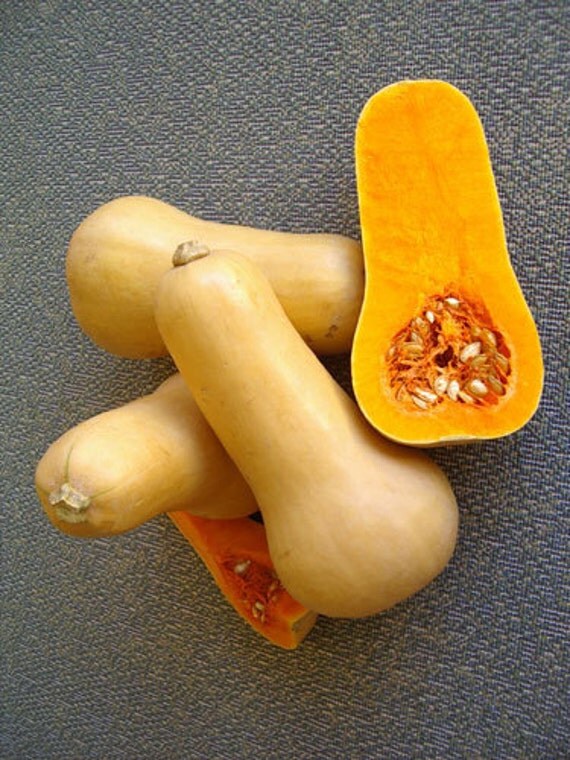 Organic Heirloom Squash Winter Butternut Seeds Rare