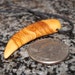 Olive Wood Pendant, wood jewelry