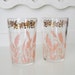 Pair of Juice Glasses