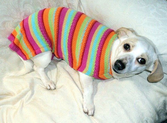 Dachshund clothes for dogs jumper sweater cotton blend stripes