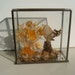 Vintage Glass Case Real Butterfly Diorama Pine Cone Dried Flowers Pan Pacific Sun Valley, CA