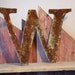 Rustic Metal Letter "W"