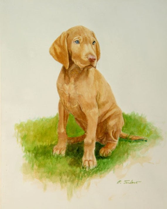 Download Vizsla Art Print Vizsla Puppy Print Vizsla Watercolor Print