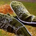 Green winter style mittens - warm and beautiful