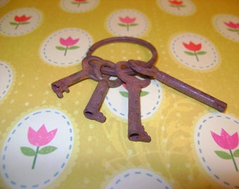 Set of 4 Small vintage keys