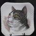 1930's Royal Adderly FLORAL Bone China Cat Plate