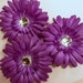 Purple 4 inch Gerber Daisy(set of 3)