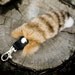 Beautiful Soft Bobcat Tail with Leather Clip Attachment
