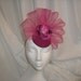 Fuschia Fascinator