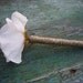 Rustic Wedding Guest Book Bridal shower Shabby chic Cream vanilla Rose flower Pen