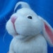 Needle felted Bunny, Rabbit ,Hare, Peter Rabbit, Peter Cottontail,