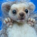 Needle felted, Hedgehog, OOAK by Grannancan