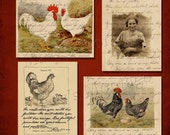Chicken  Digital Collage sheet/ pack